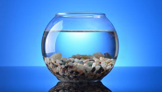 Perché dovresti usare un vassoio di decantazione?