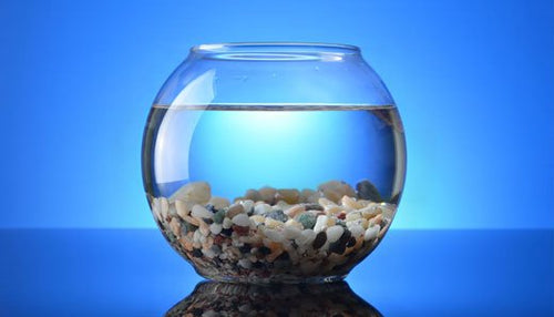 Bac de décantation laboratoire dentaire | Massilia Dental - Massilia Dental - Fournitures Matériel Dentaire