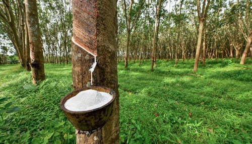Gants Latex Poudrés pour Laboratoire: les avantages. - Massilia Dental - Fournitures Matériel Dentaire