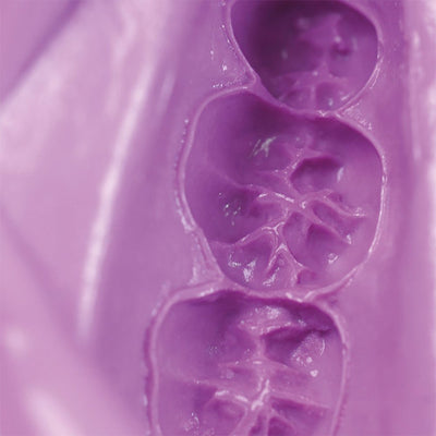 Alginate Hydrogum 5 Zhermack - très grande précision prise rapide