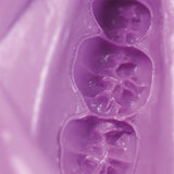 Alginate Hydrogum 5 Zhermack - Alginate Scannable - Massilia Dental - Fournitures Matériel Cabinet Dentaire