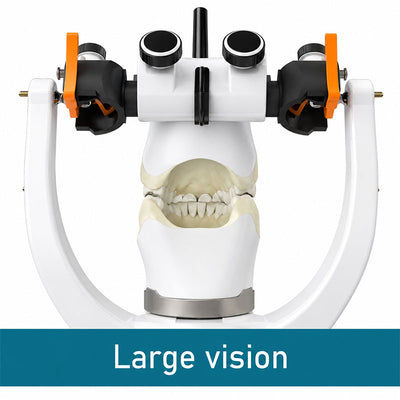 Articulateur semi-adaptable avec large vision arrière Mestra pour laboratoire dentaire