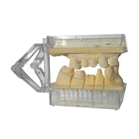 Artimax Transparent 50 U + 200 Pins Socle Die Articulateur - Massilia Dental - Fournitures Matériel Cabinet Dentaire