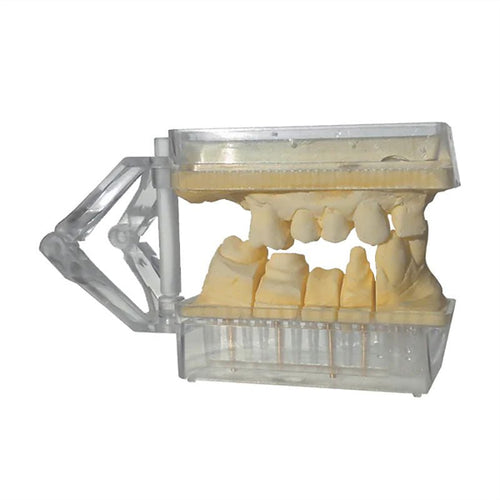 Artimax Transparent 50 U + 200 Pins Socle Die Articulateur - Massilia Dental - Fournitures Matériel Cabinet Dentaire