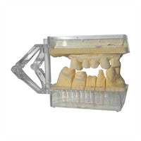 Artimax Transparent 50 U + 200 Pins Socle Die Articulateur - Massilia Dental - Fournitures Matériel Cabinet Dentaire