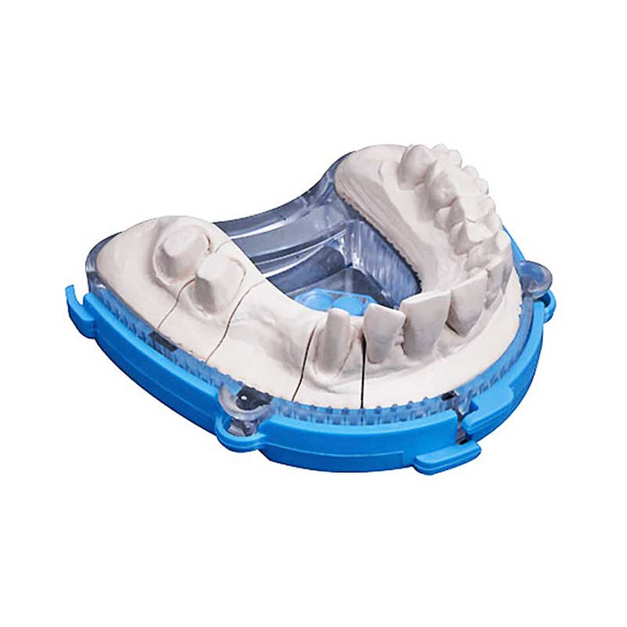 BAFIX DTDS moule à socle pour modèle à die sans pins laboratoire dentaire
