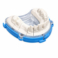 BAFIX DTDS moule à socle pour modèle à die sans pins laboratoire dentaire