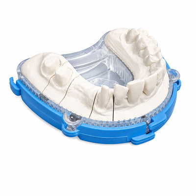 BAFIX DTDS moule à socle pour modèle à die sans pins laboratoire dentaire