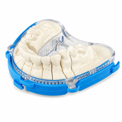 BAFIX DTDS moule à socle pour modèle à die sans pins laboratoire dentaire