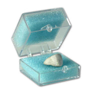 Boite avec Mousse Protection Prothèse et Pièces Fragiles. - Massilia Dental - Fournitures Matériel Cabinet Dentaire