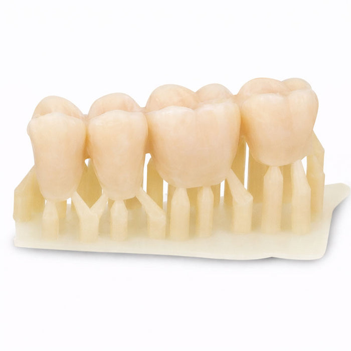 Temp 4Design Resin 1 kg – MMA-Free Provisional Crowns A1, A2, A3