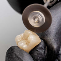 alt="Brossettes crins de cheval 22 mm souple 20 Pièces finition composite - Massilia Dental"