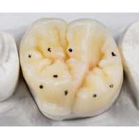 Cire à Modeler Renfert Expert Guide Modelage Français - Massilia Dental - Fournitures Matériel Cabinet Dentaire