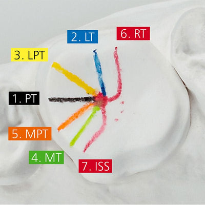 Renfert Expert coffret cire à modeler avec guide de formation