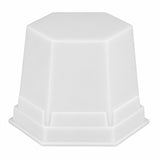 Snow White L Renfert cire à modeler wax-up blanche transparente