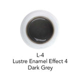 Initial Lustre IQ ONE V - Shades Céramique - Flacon 4 Gr - Massilia Dental - Fournitures Matériel Cabinet Dentaire