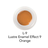 Initial Lustre IQ ONE V - Shades Céramique - Flacon 4 Gr - Massilia Dental - Fournitures Matériel Cabinet Dentaire