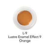 Initial Lustre IQ ONE V - Shades Céramique - Flacon 4 Gr - Massilia Dental - Fournitures Matériel Cabinet Dentaire