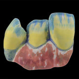 Initial Zirconia Coloring Liquid Marking GC - Flacon 25 ml. - Massilia Dental - Fournitures Matériel Cabinet Dentaire