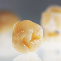 VarseoSmile Crown Plus 3D Bego - résine imprimante 3D pour couronnes