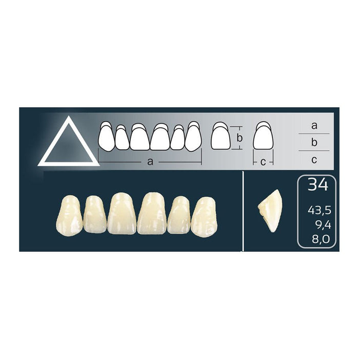 Dents Cross Linked Triangulaire Carrée Forme 34 Teintes Vita - Massilia Dental - Fournitures Matériel Cabinet Dentaire