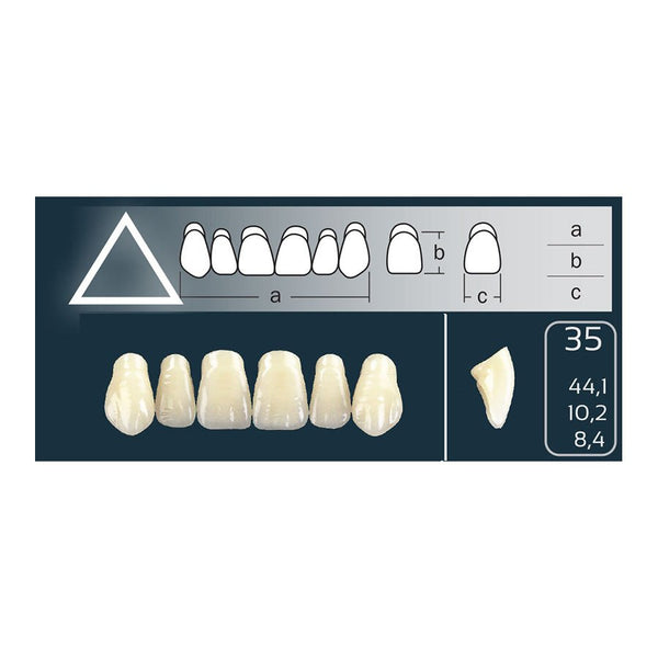 Dents Cross Linked Triangulaire Carrée Forme 35 Teintes Vita - Massilia Dental - Fournitures Matériel Cabinet Dentaire
