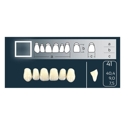 Dents Cross Linked 2 Antérieure Carrée Forme 41 Teintes Vita - Massilia Dental - Fournitures Matériel Cabinet Dentaire