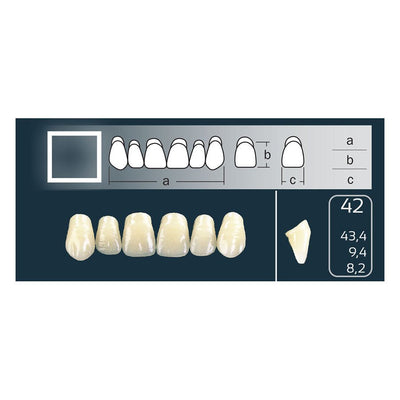 Dents Cross Linked Antérieure Carrée Forme 42 - Teintes Vita - Massilia Dental - Fournitures Matériel Cabinet Dentaire