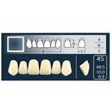 Denti anteriori Cross Linked, forma 45 - Vita Shades