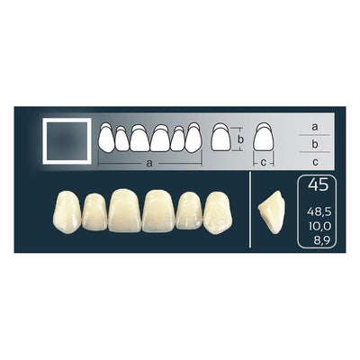 Dents Cross Linked Antérieure Carrée Forme 45 - Teintes Vita - Massilia Dental - Fournitures Matériel Cabinet Dentaire