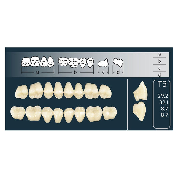Dents Cross Linked Postérieures Forme T3 Haut ou Bas - Massilia Dental - Fournitures Matériel Cabinet Dentaire