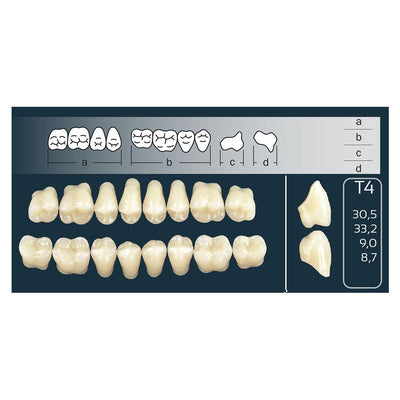 Dents Cross Linked Postérieures Forme T4 Haut ou Bas - Massilia Dental - Fournitures Matériel Cabinet Dentaire
