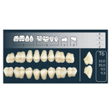 Dents Cross Linked Postérieures Forme T6 Haut ou Bas - Massilia Dental - Fournitures Matériel Cabinet Dentaire