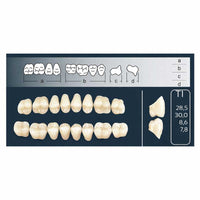 Cross-linked T1 teeth, top and bottom