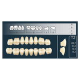 Dents Cross Linked Postérieures Forme T2 Haut ou Bas - Massilia Dental - Fournitures Matériel Cabinet Dentaire