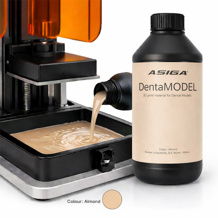 Asiga DentaMODEL Dental Model 3D Resin Almond Color