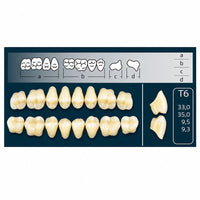 Dents Cross Linked 2 postérieures forme T6 haut ou bas prothèse adjointe