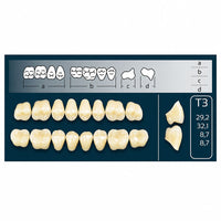 Dents Cross linked Polident forme T3 postérieures pour montage adjointe haut ou bas