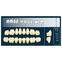 Dents Cross linked 2 postérieures forme T2 haut et bas