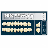 Dents Cross Linked postérieures forme T5 haut ou bas