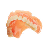 IVOTION Monolithique – Disque CAD/CAM Prothèses Complètes. - Massilia Dental - Fournitures Matériel Cabinet Dentaire