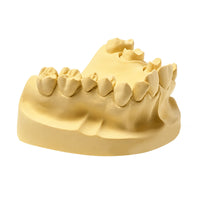 Plâtre Elite Model Fast Light Cream Zhermack