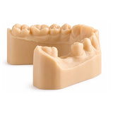 Fotodent Model Résine 3D modèle  imprimé 405 nm beige - Dreve
