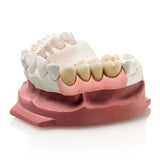alt="Zhermack elastic artificial gum, flexible, for application on an impression"