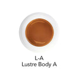 Initial Lustre IQ ONE V - Shades Céramique - Flacon 4 Gr - Massilia Dental - Fournitures Matériel Cabinet Dentaire