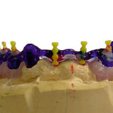 Kiero - Form Gel Modelage Résine Photo Fraisage Fixation Soudure - Massilia Dental - Fournitures Matériel Cabinet Dentaire