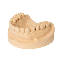 Optiprint Express - resine 3d pour impression de modèles dentaires caramel