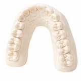 4Design Model HP i- résine ivoire pour modèles dentaires