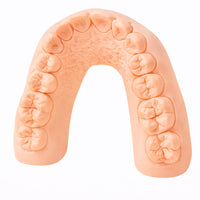4Design Model HP ivory Resin 3D Dental Model
