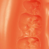 Neocolloid Alginate Zhermack Temps de Prise 1.30 min Menthe - Massilia Dental - Fournitures Matériel Cabinet Dentaire